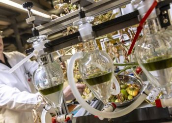 الطائرات تحلّق بالطماطم من بقايا الطعام إلى محركات النفاثات