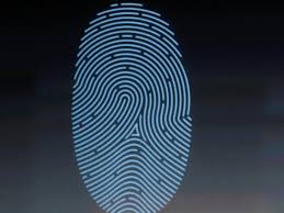 هل بصمات أصابعنا فريدة حقا؟ العلم الجنائي يشكك