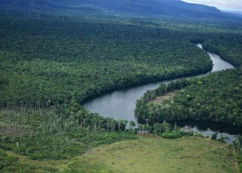 ذهب وكولتان وألماس… قوس أورينوكو يفتح جبهة واشنطن الجديدة في فنزويلا