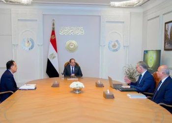 مصر تستعد لأول مسح جوي شامل للثروات المعدنية منذ 40 عاماً