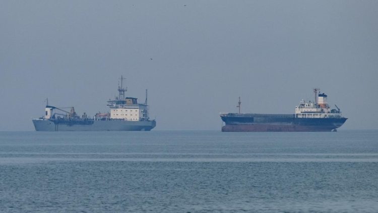 ناقلة نفط وسفينة شحن في الخليج، 29 نيسان 2024 (مرتضى نيكوبازل/Getty)