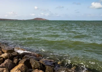 مبيدات حشرية تعود من الماضي إلى بحيرة مارتشيكا المغربية