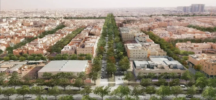 المساحة الخضراء في العاصمة السعودية الرياض (الشرق الأوسط)