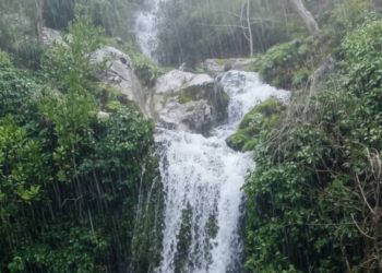 فوائد بيئية وزراعية.. الأمطار الغزيرة تعيد الحياة للطبيعة وتنعش الأمل