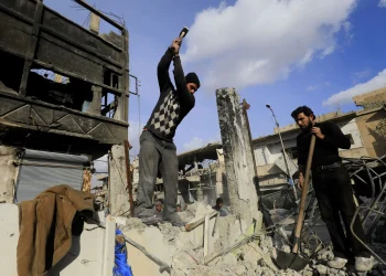 من الشتات إلى الداخل: أي دور اقتصادي ينتظر المغتربين السوريين؟