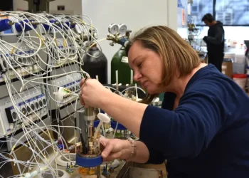 ابتكار أميركي يجعل الخميرة تحول السكر إلى أموال