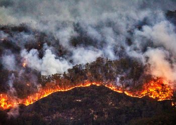 حرائق الغابات الأسترالية تدمر منازل وتقطع الكهرباء عن عشرات الآلاف