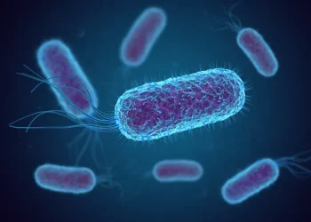 فيزيائيون: نحتاج إلى قانون رابع للديناميكا الحرارية