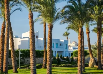 مصر تعزز سياحتها الفاخرة بـ 43 ألف غرفة فندقية