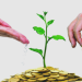 كيف تطيل مدة الاستدامة المالية لشركتك؟