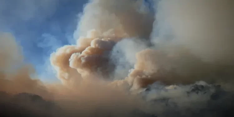 دخان حرائق الغابات يقتل أكثر من 24 ألف أمريكي سنوياً