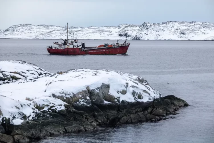 الحديث عن جزيرة غرينلاند يأخذ دوما منحى اقتصاديا (رويترز)