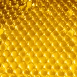 وداعا لهدر الضوء.. كرات ذهبية فائقة تحبس طاقة الشمس بكفاءة 90%