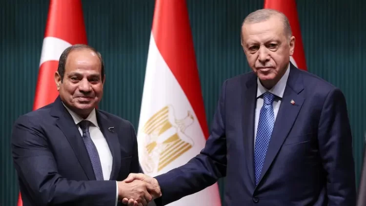 الرئيسان السيسي وأردوغان