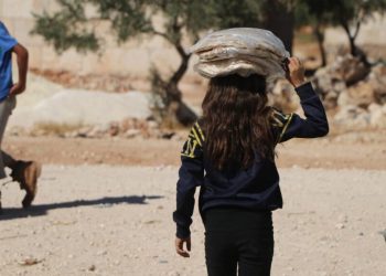 العطاء التنموي.. من المساعدة المؤقتة إلى استثمار اقتصادي مستدام