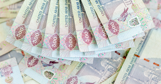 فيتش: البنوك الإماراتية تتمتع بقدرة عالية على مواجهة الضغوط