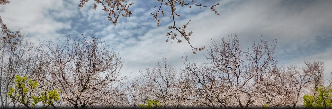 درجات الحرارة إلى ارتفاع وفرصة لهطل زخات في أماكن متفرقة بسوريا