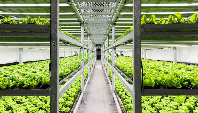 اقتصاد التكيف المناخي .. رهان المستقبل